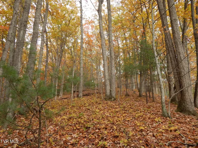 $159,000 | Tbd Spoon Gap Road, Abingdon, VA 24211