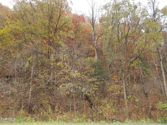 $159,000 | Tbd Spoon Gap Road, Abingdon, VA 24211