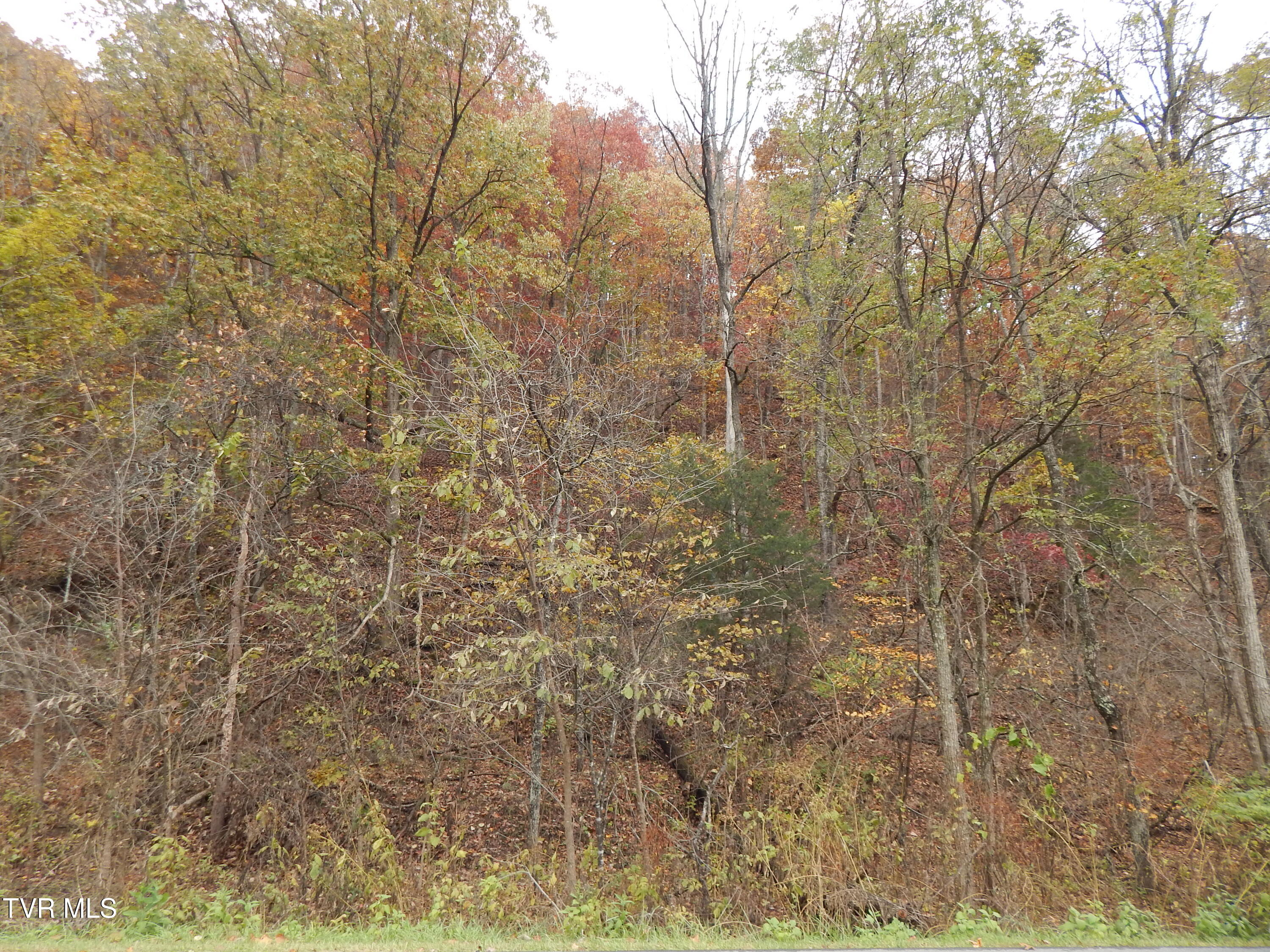 Tbd Spoon Gap Road Abingdon, VA 24211 - Photo 6 of 8 spoon gap 2025 008