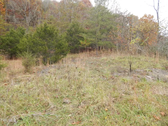 $159,000 | Tbd Spoon Gap Road, Abingdon, VA 24211