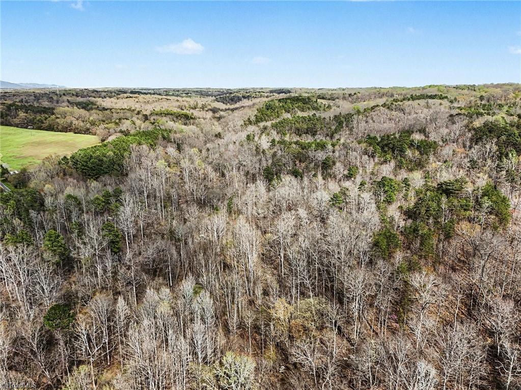0 Hidden Ridge Trail Tobaccoville, NC 27050 - Photo 11 of 19