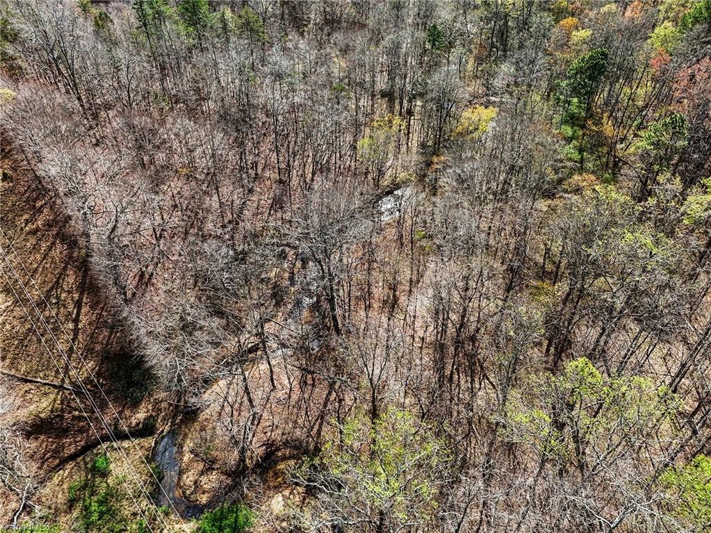 0 Hidden Ridge Trail Tobaccoville, NC 27050 - Photo 14 of 19