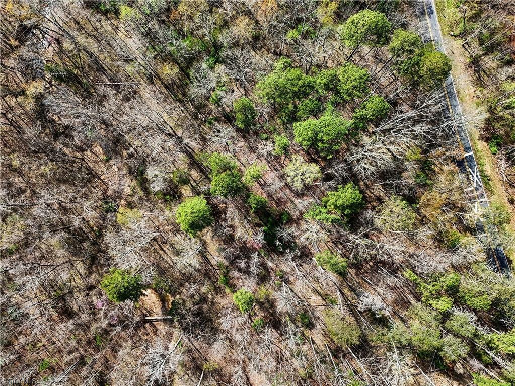 0 Hidden Ridge Trail Tobaccoville, NC 27050 - Photo 15 of 19