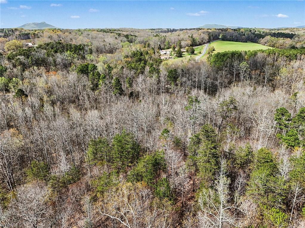 0 Hidden Ridge Trail Tobaccoville, NC 27050 - Photo 16 of 19