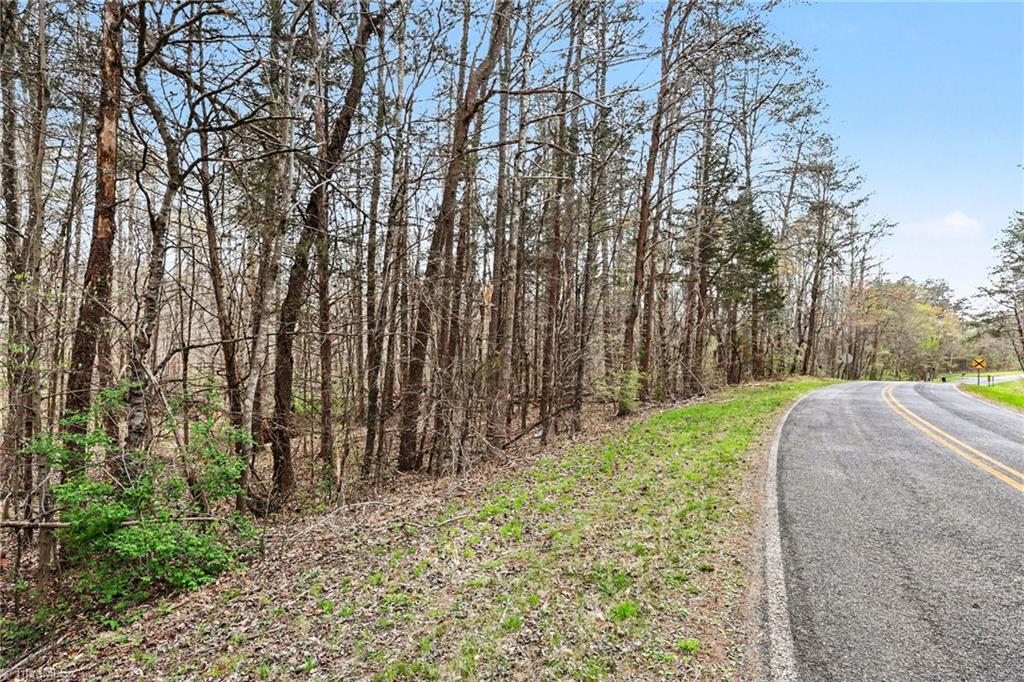 0 Hidden Ridge Trail Tobaccoville, NC 27050 - Photo 2 of 19