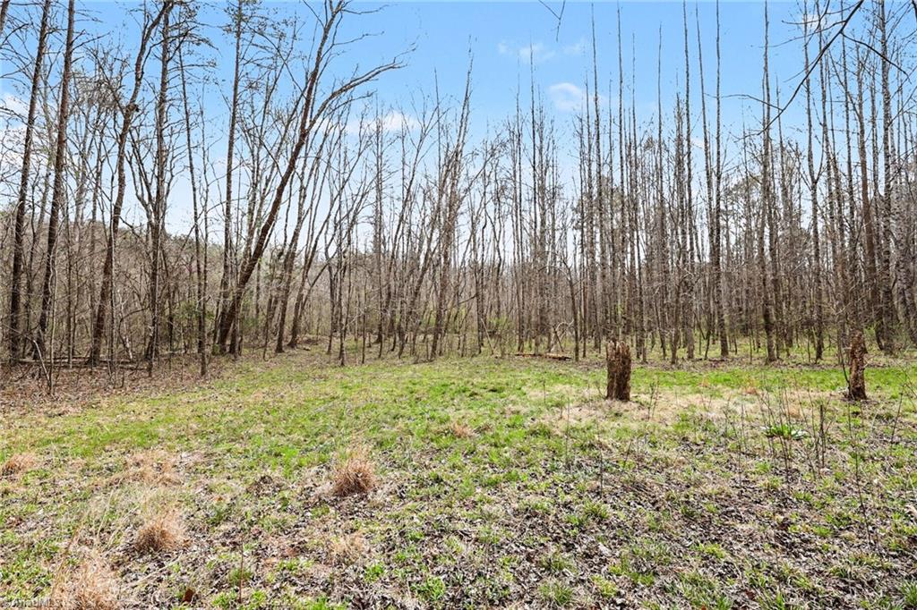 0 Hidden Ridge Trail Tobaccoville, NC 27050 - Photo 3 of 19