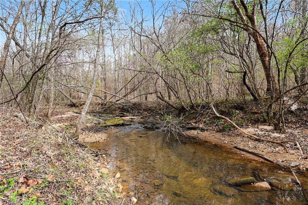 0 Hidden Ridge Trail Tobaccoville, NC 27050 - Photo 4 of 19