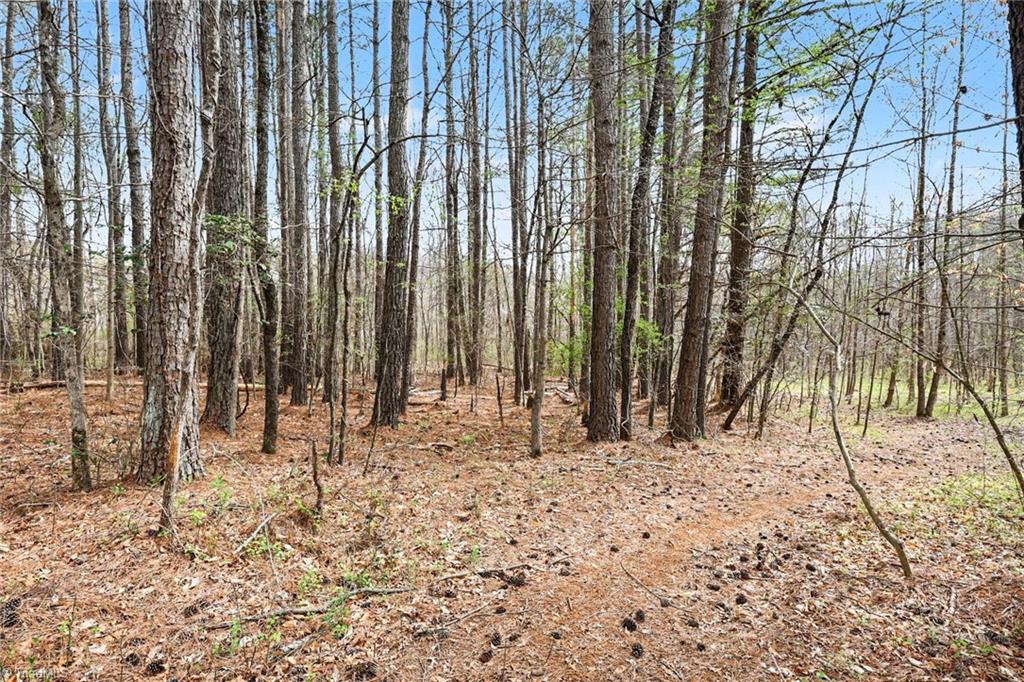 0 Hidden Ridge Trail Tobaccoville, NC 27050 - Photo 5 of 19
