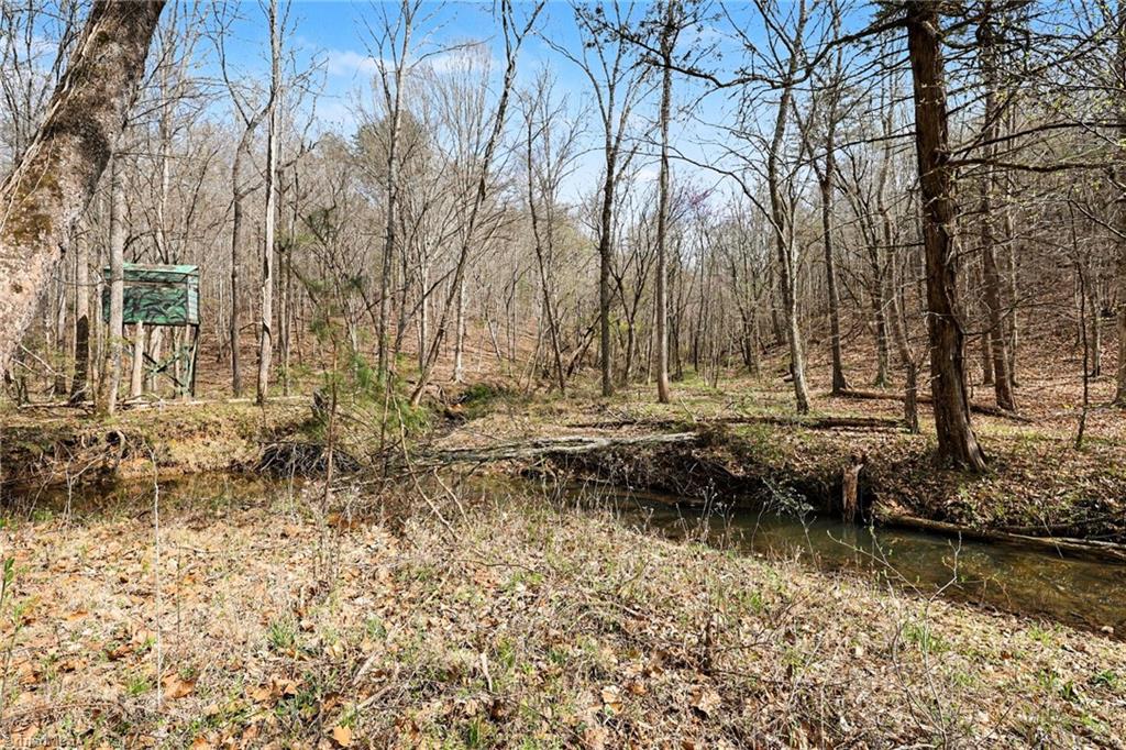 0 Hidden Ridge Trail Tobaccoville, NC 27050 - Photo 6 of 19
