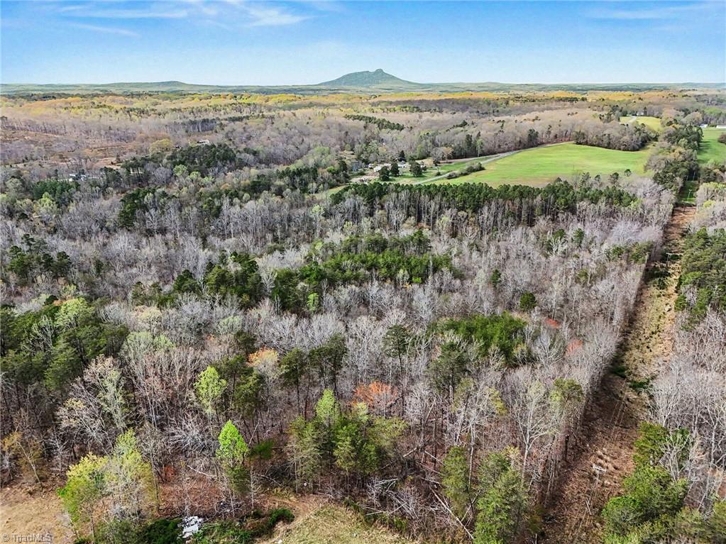0 Hidden Ridge Trail Tobaccoville, NC 27050 - Photo 8 of 19