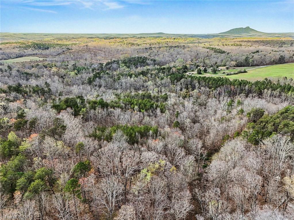 0 Hidden Ridge Trail Tobaccoville, NC 27050 - Photo 9 of 19