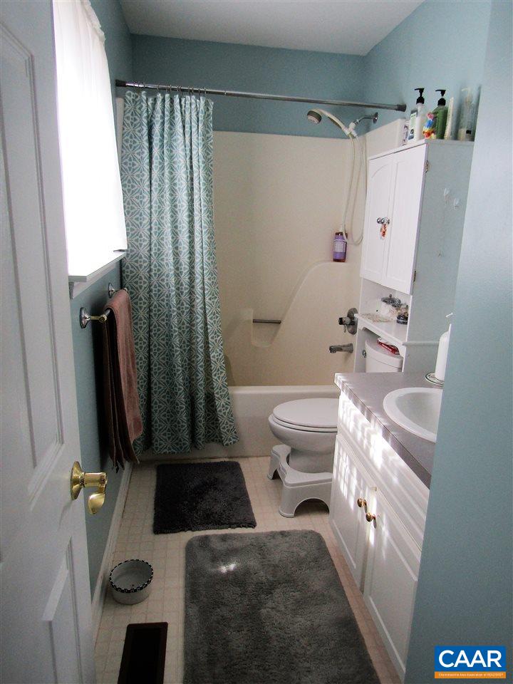 44 Amethyst Road Palmyra, VA 22963 - Photo 17 of 23 a bathroom with a sink a toilet a mirror and shower