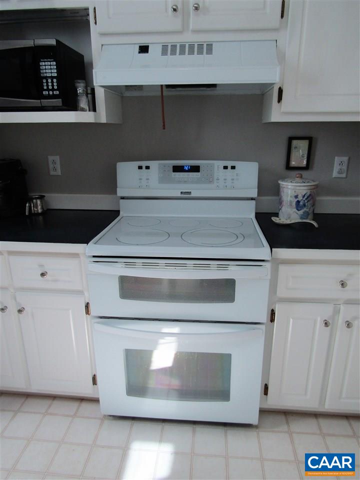 44 Amethyst Road Palmyra, VA 22963 - Photo 5 of 23 a close view of stove top oven