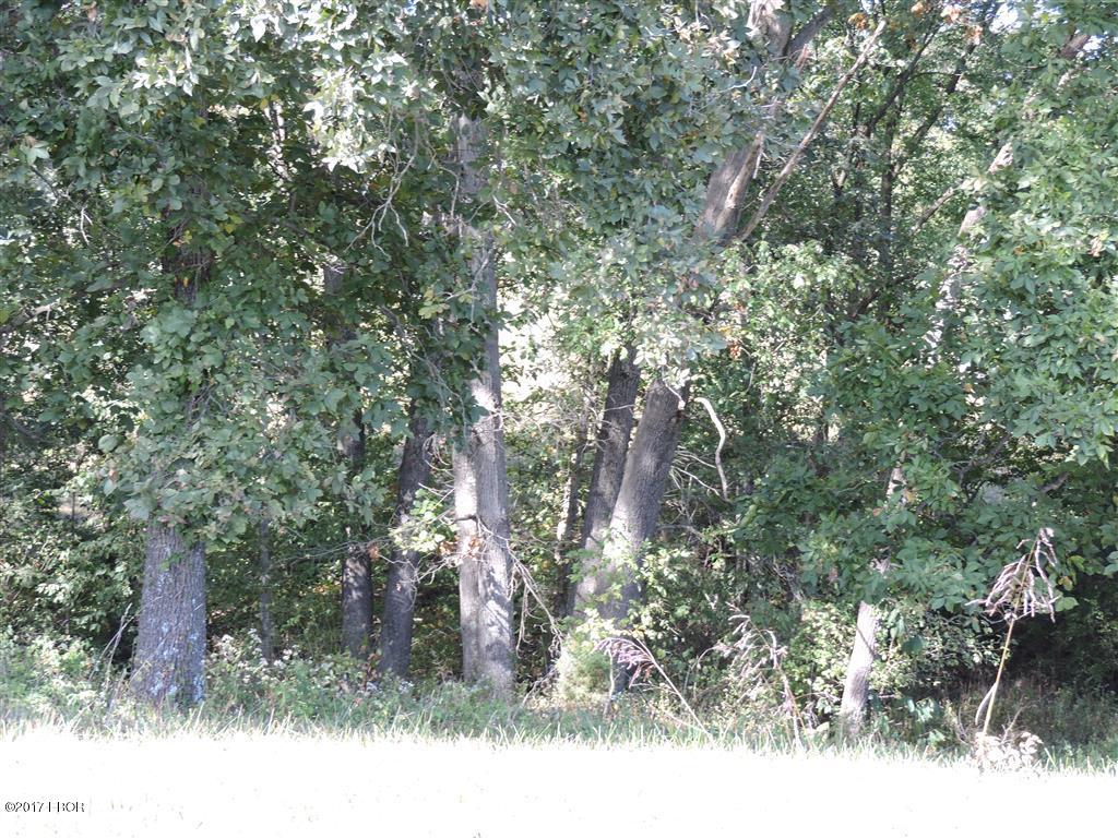2327 Co Road Rockwood, IL 62280 - Photo 25 of 50