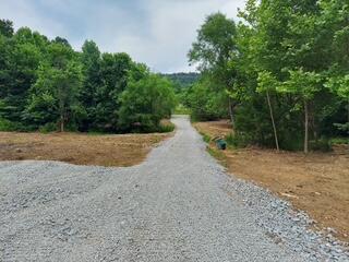 1112 Covered Bridge Road Wallingford, KY 41093 - Photo 1 of 20 6614831917884958408