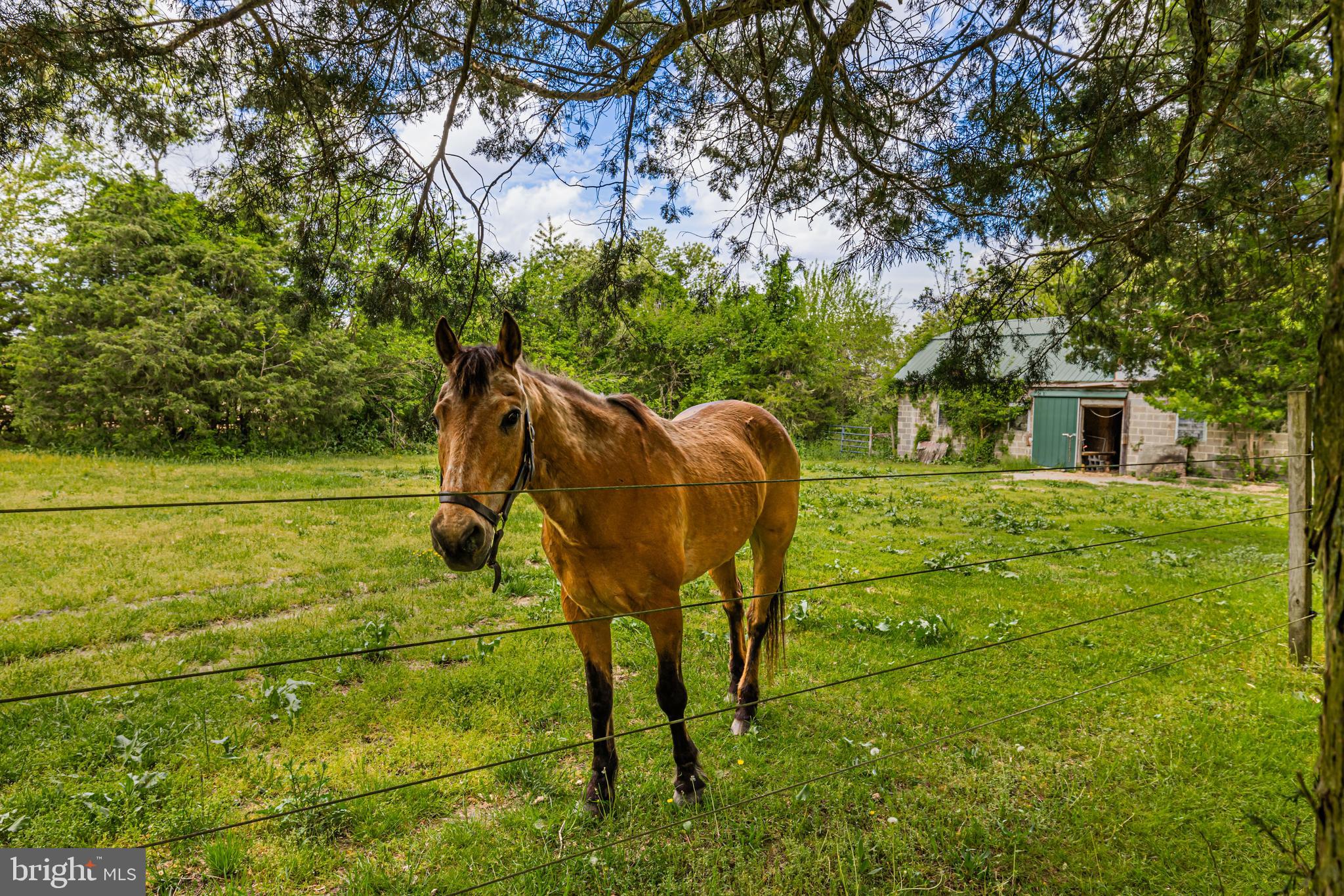 595 Walker Road Hammonton, NJ 08037 - Photo 2 of 34