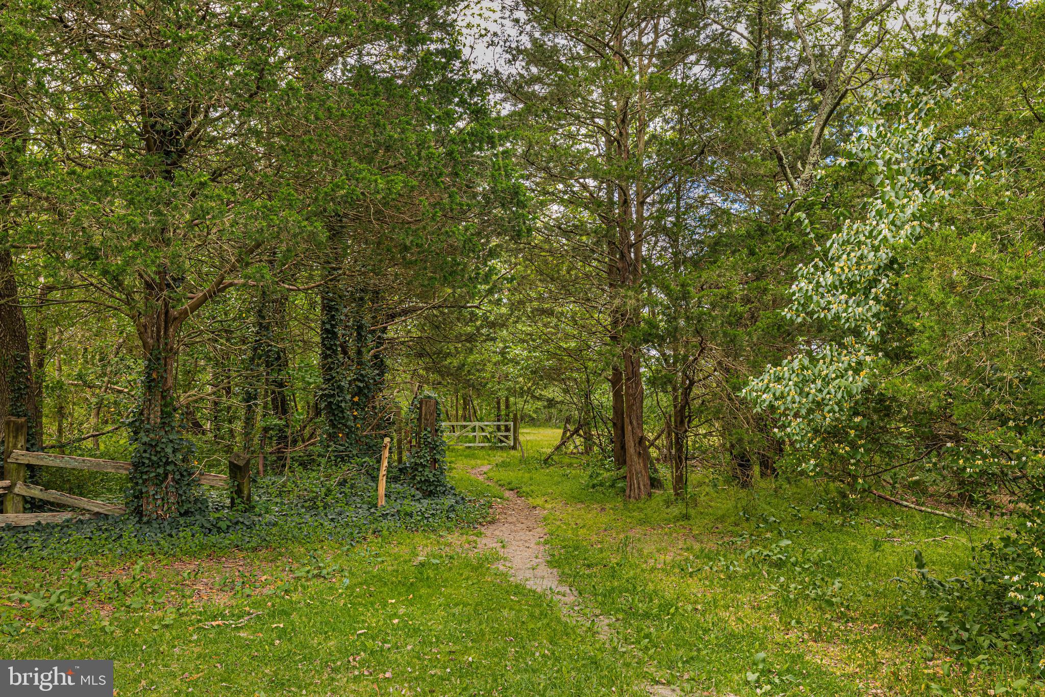 595 Walker Road Hammonton, NJ 08037 - Photo 27 of 34