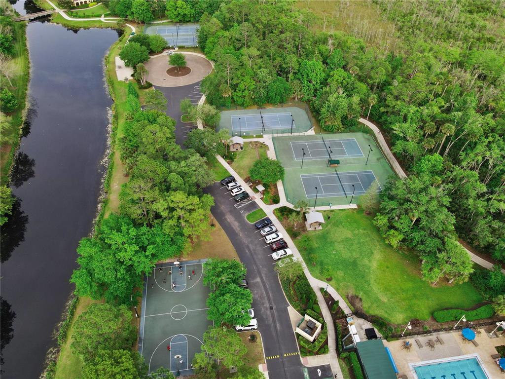 1101 Rush Court Celebration, FL 34747 - Photo 75 of 79