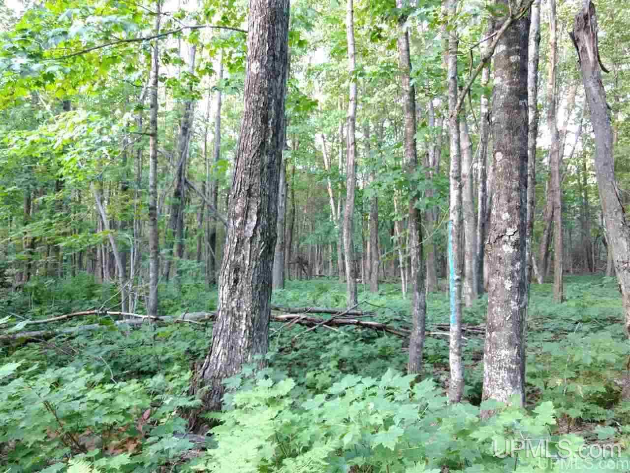 Tbd Sandstone B Road Lake Linden, MI 49945 - Photo 42 of 50