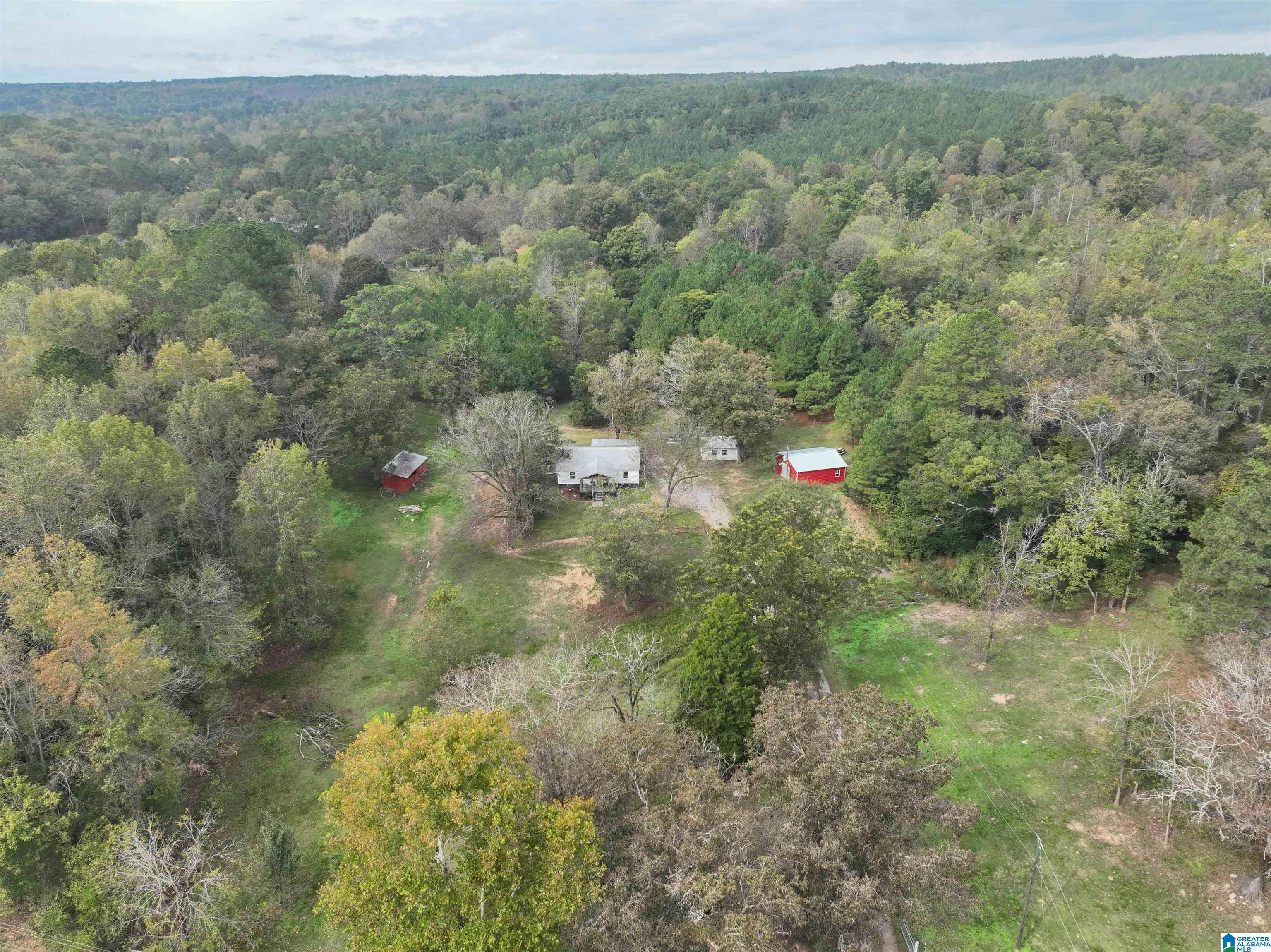633 Macedonia Road Ragland, AL 35131 - Photo 48 of 52
