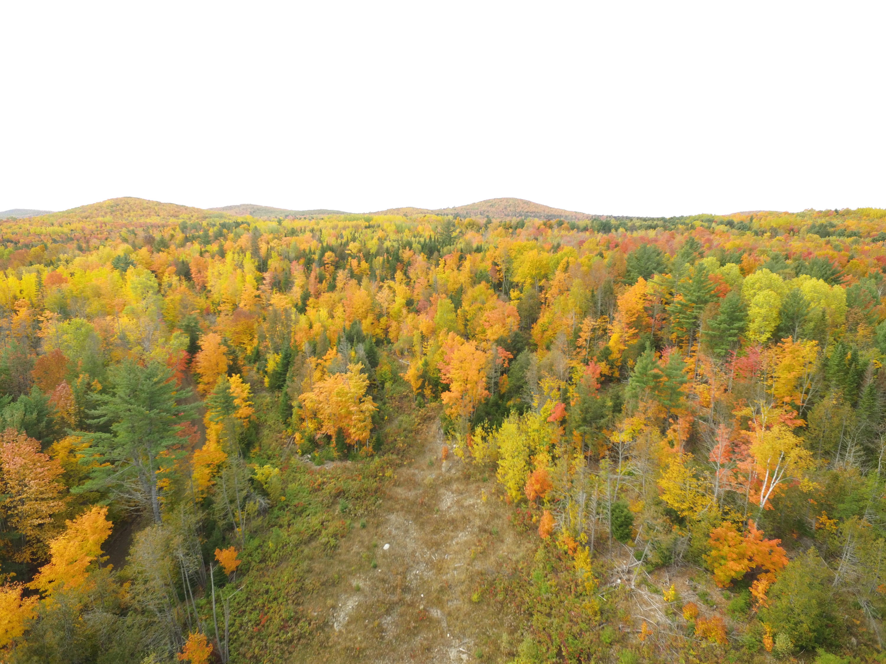 4 Map Road Lee, ME 04455 - Photo 6 of 8 DJI_0239