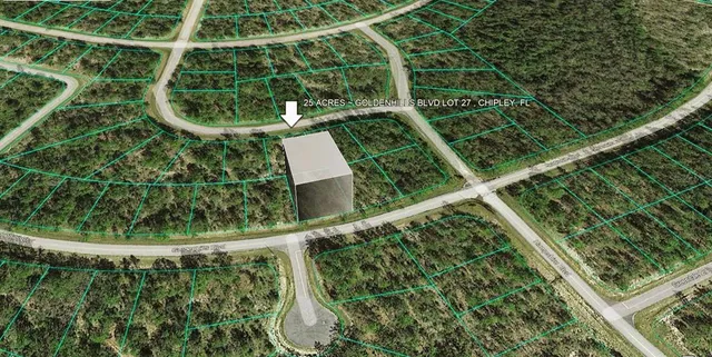 a view of a yard with an outdoor space