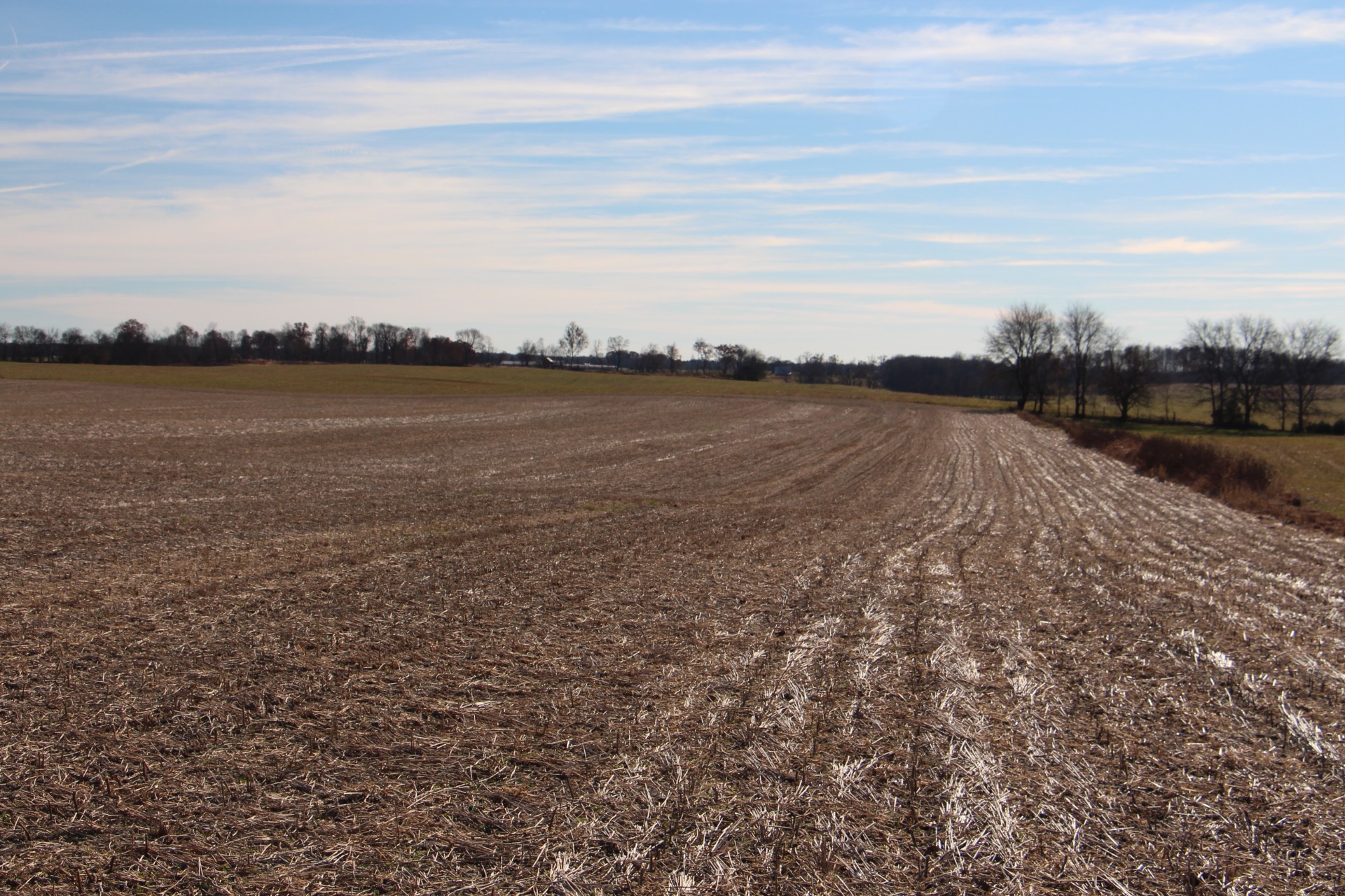 B Borthick Road North Springfield, TN 37172 - Photo 1 of 4 a view of lake