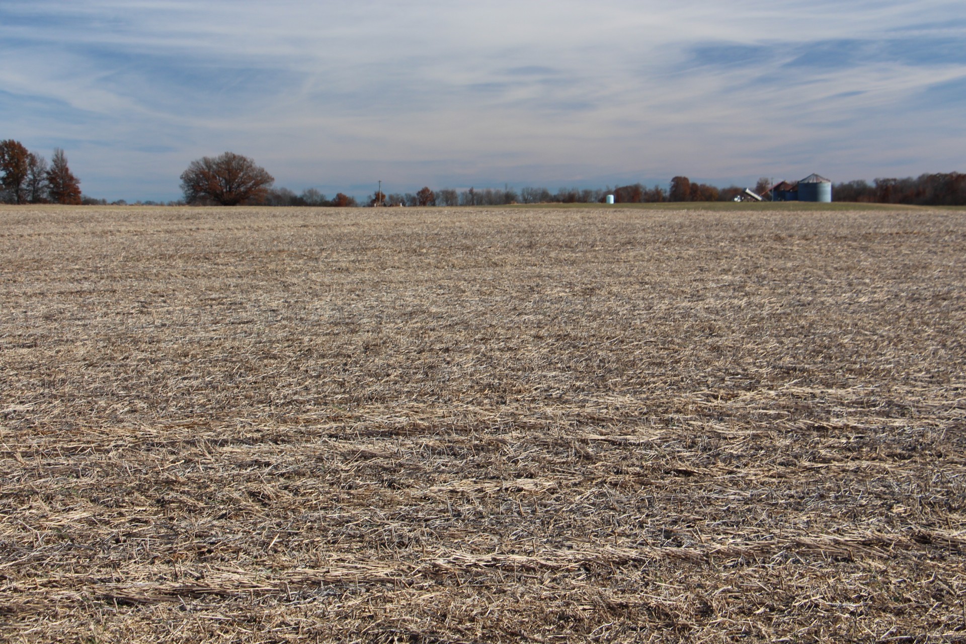 B Borthick Road North Springfield, TN 37172 - Photo 3 of 4