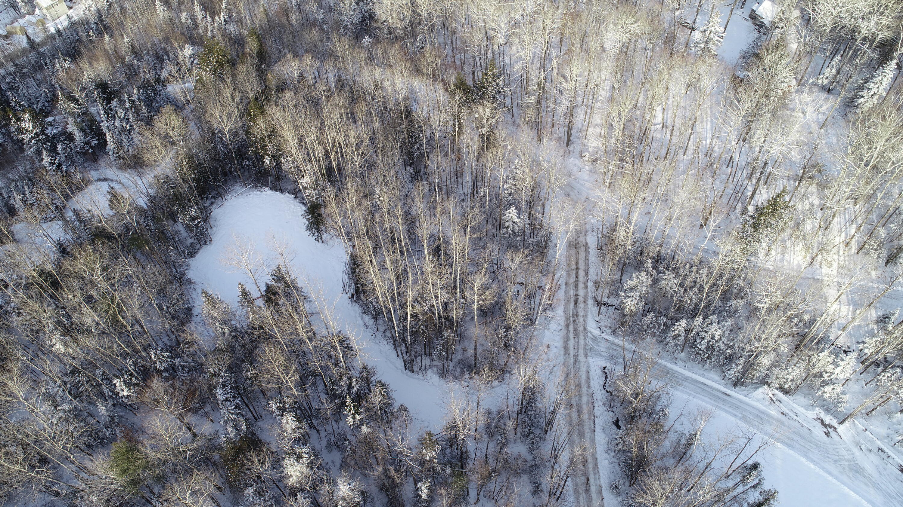 Tbd Lohnes Road Andover, ME 04216 - Photo 8 of 19 DJI_0074