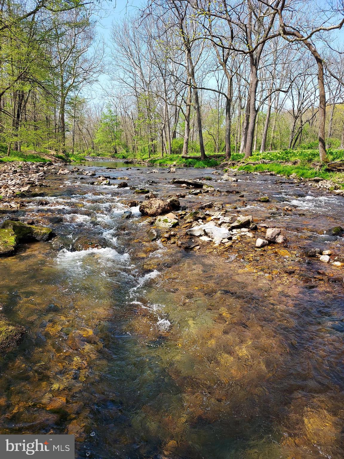 3795 Highway 212 Riegelsville, PA 18077 - Photo 47 of 51 Cooks Creek