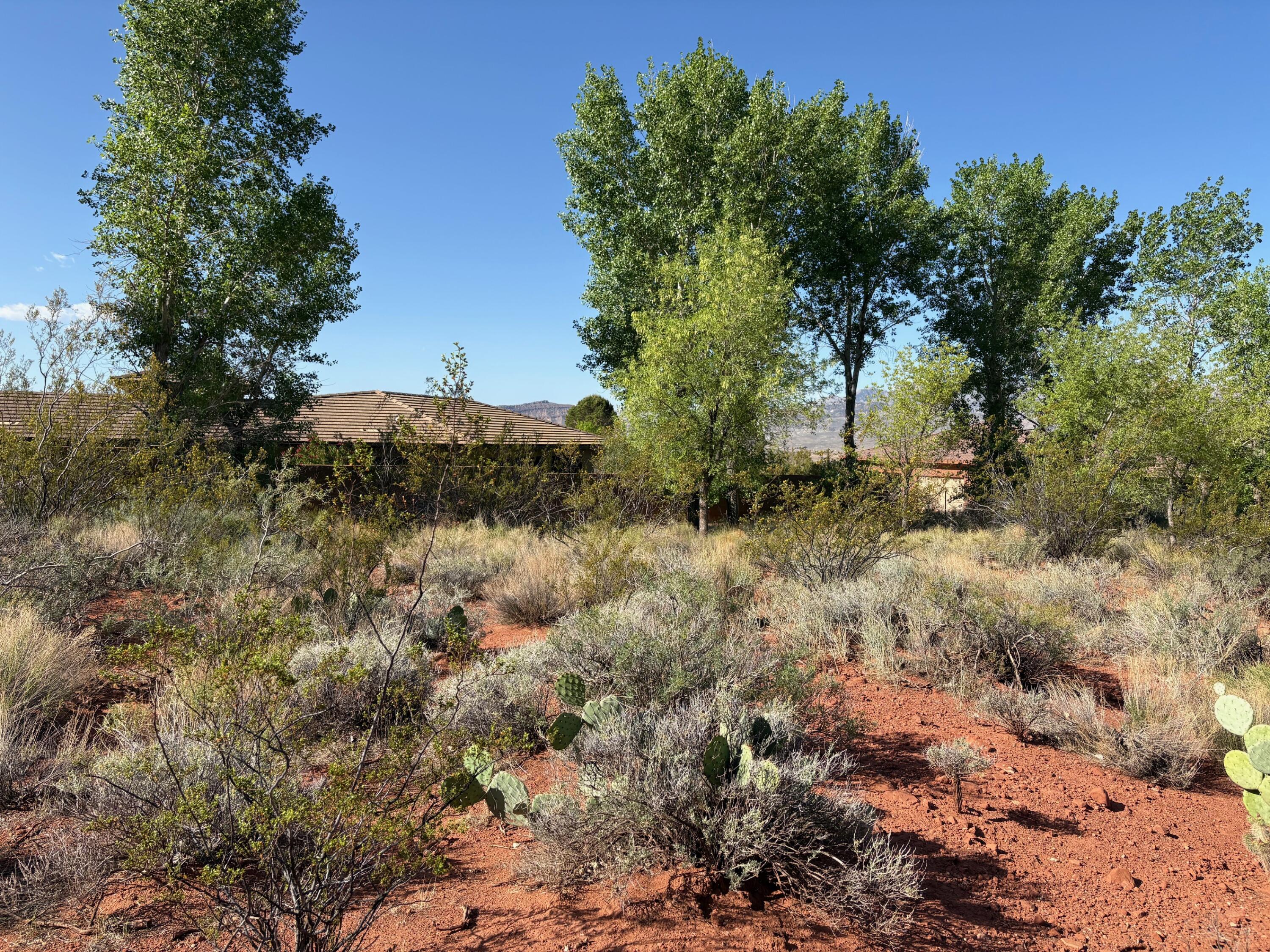 Tbd North Agave Way, Unit 107 Ivins, UT 84738 - Photo 4 of 6 Southwest