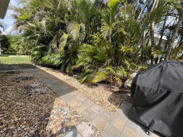 a view of a yard with plants and trees