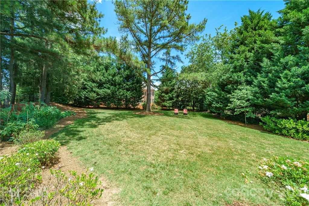 17405 Sail View Drive Cornelius, NC 28031 - Photo 31 of 43 a view of outdoor space with deck and yard