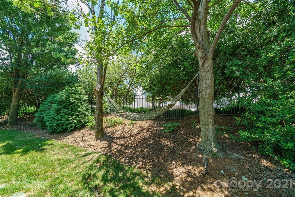 17405 Sail View Drive Cornelius, NC 28031 - Photo 32 of 43 a view of a forest with trees in the background