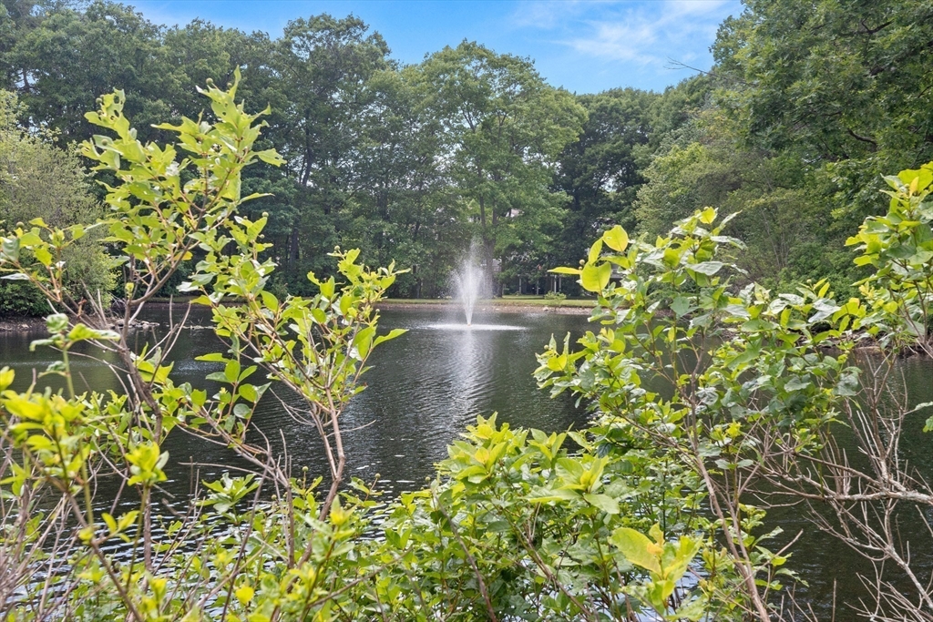4203 Woodbridge Road, Unit 4203 Peabody, MA 01960 - Photo 22 of 31 Gallery Image 22