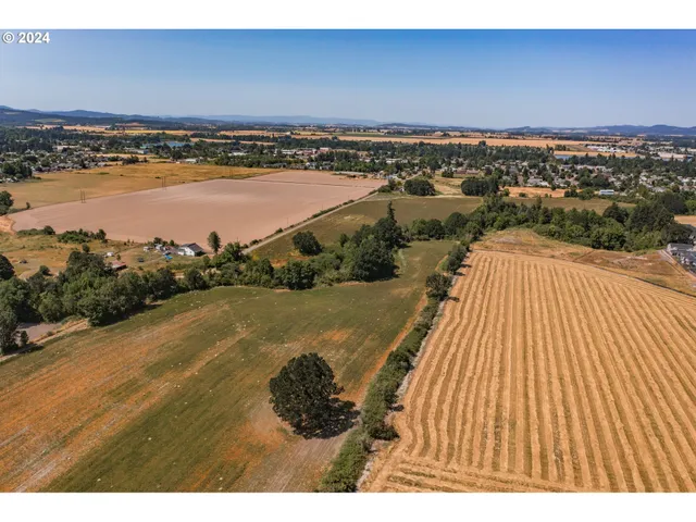 a view of an ocean from a yard