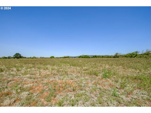 a view of a backyard of a house