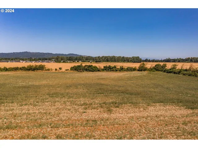a picture of a book and a table