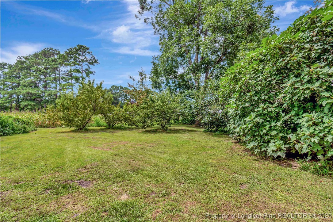 1079 Charlie Williamson Road Whiteville, NC 28472 - Photo 35 of 35 a view of a big yard