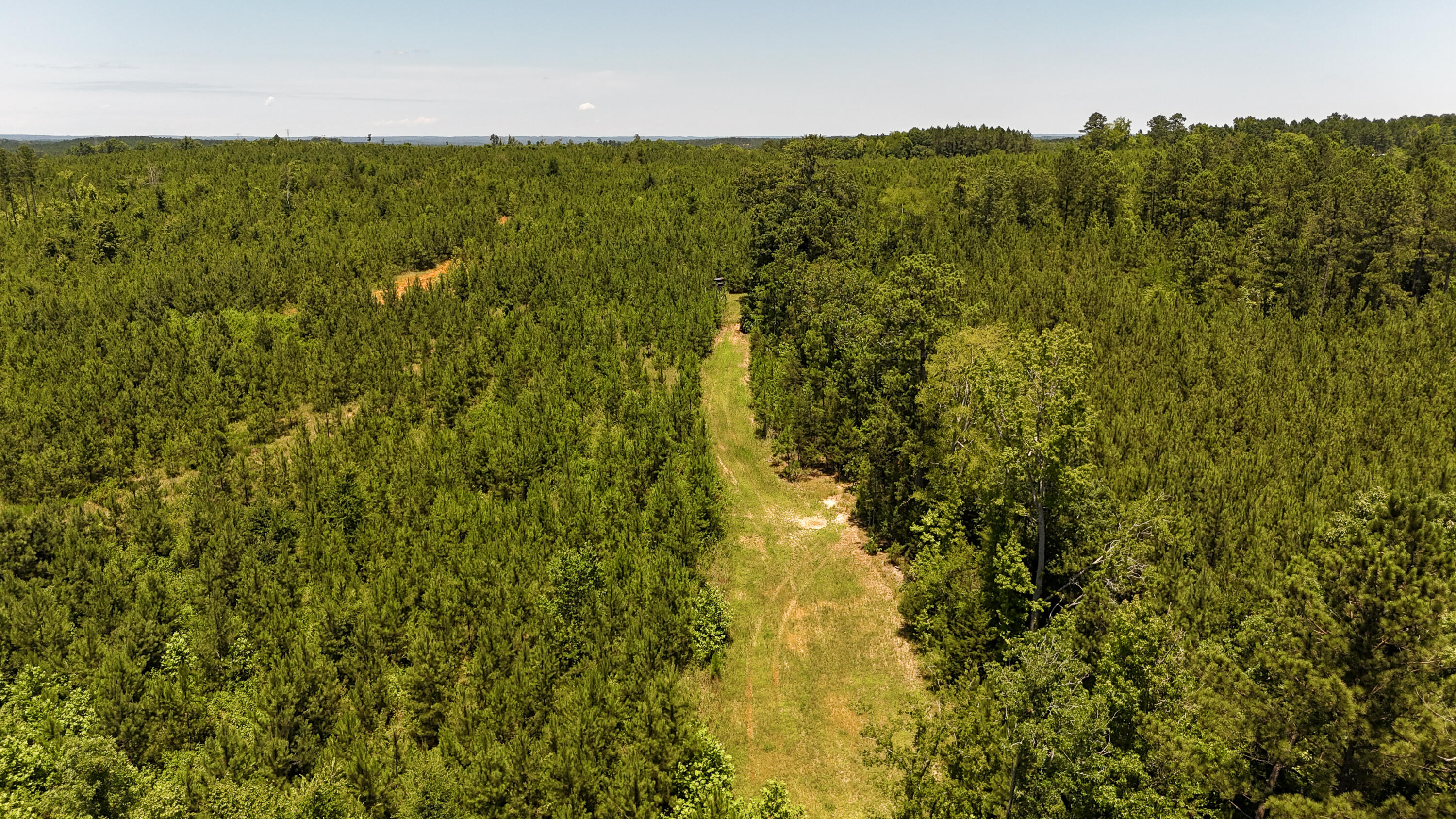 0 Ashford Ferry Road Chester, SC 29706 - Photo 11 of 15 Ashford Ferry Compass South Land Sales S