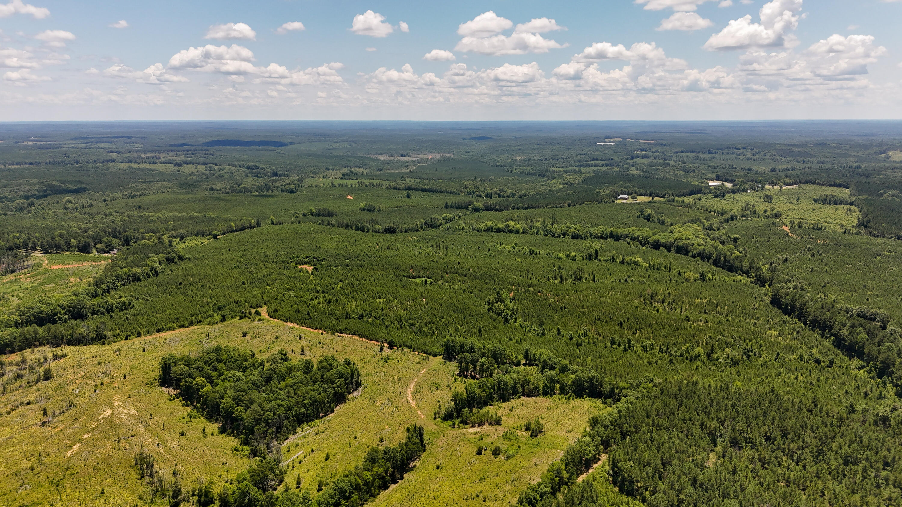 0 Ashford Ferry Road Chester, SC 29706 - Photo 12 of 15 Ashford Ferry Compass South Land Sales S