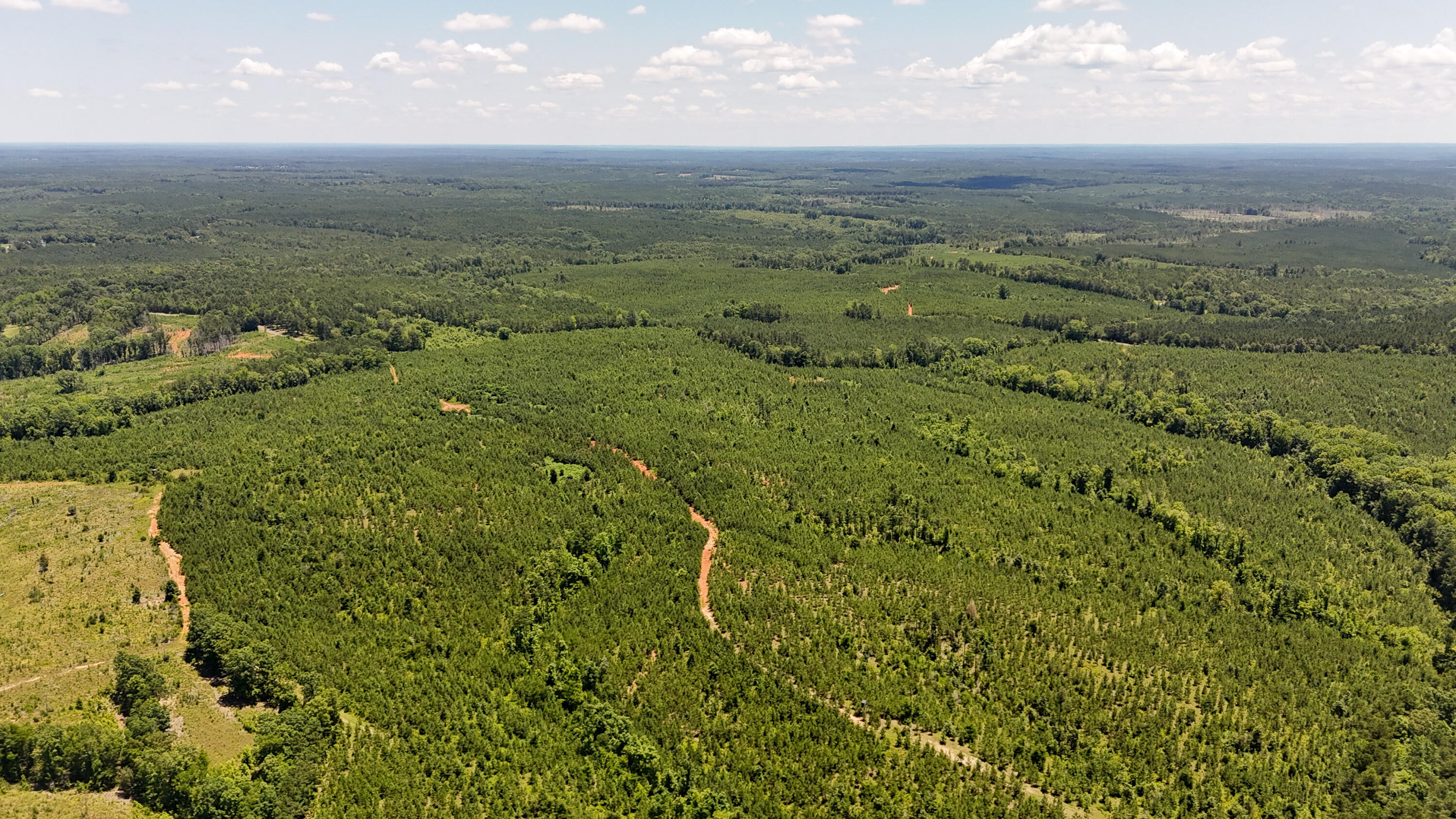 0 Ashford Ferry Road Chester, SC 29706 - Photo 13 of 15 Ashford Ferry Compass South Land Sales S