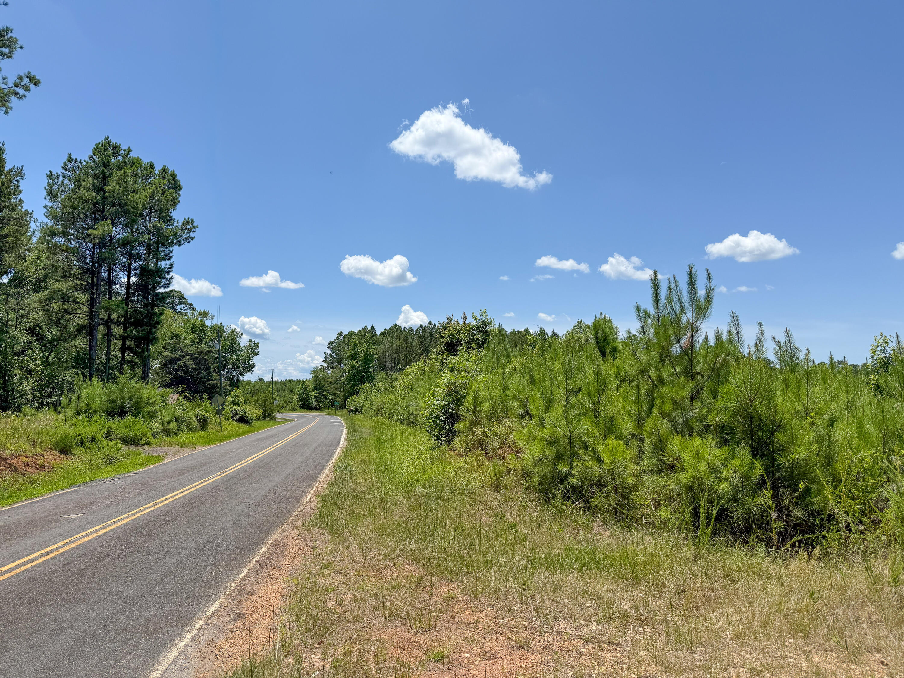 0 Ashford Ferry Road Chester, SC 29706 - Photo 2 of 15 Ashford Ferry Compass South Land Sales S