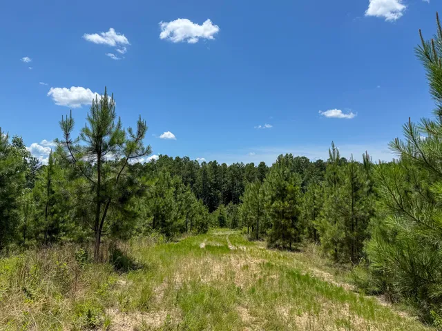 $634,480 | 0 Ashford Ferry Road, Chester, SC 29706