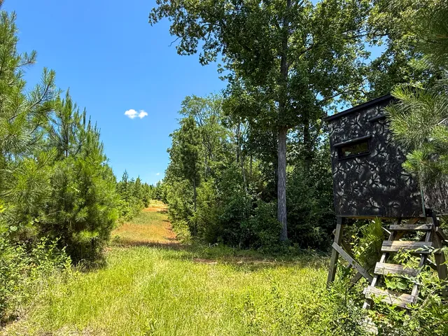 $634,480 | 0 Ashford Ferry Road, Chester, SC 29706