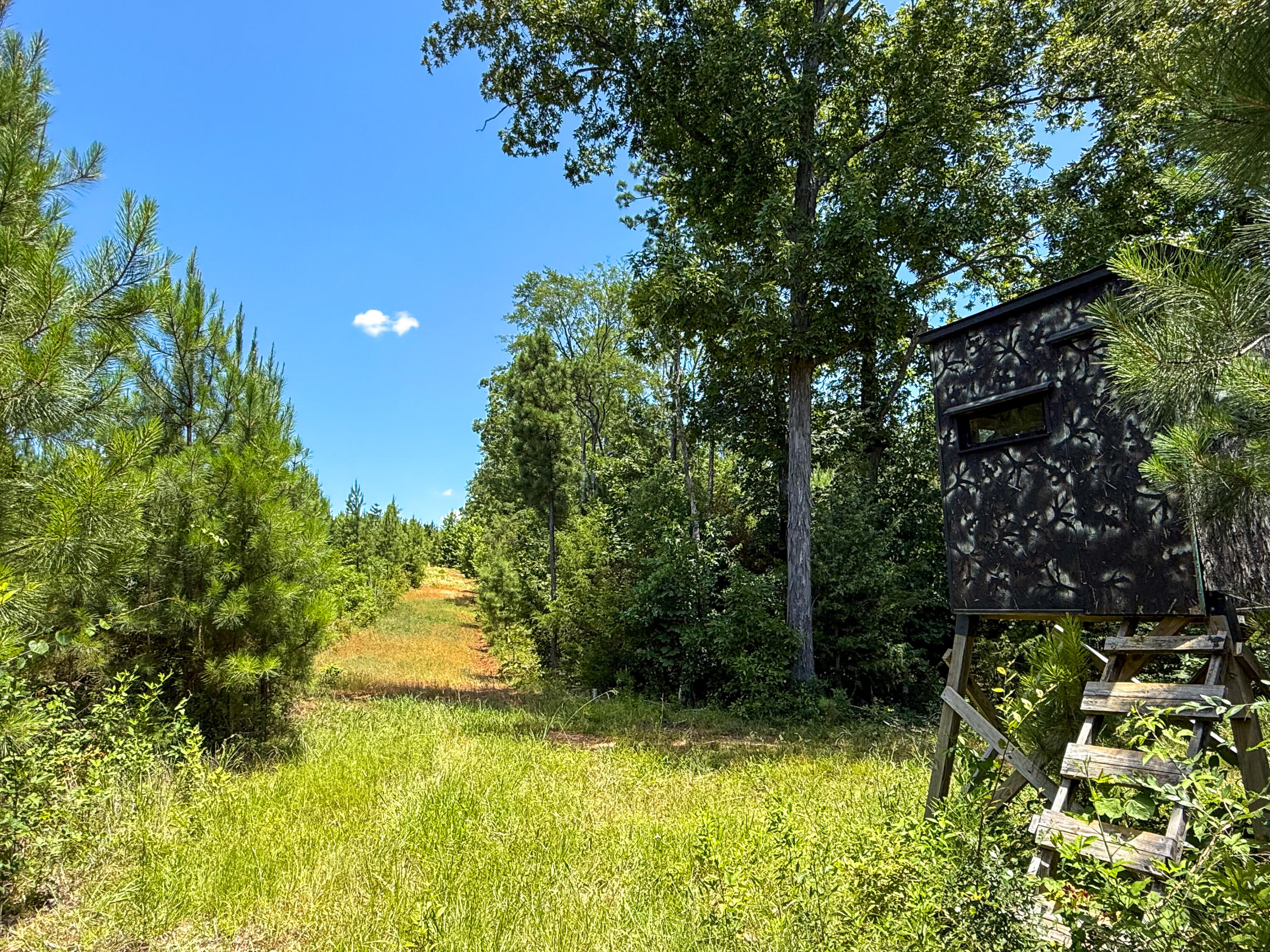 0 Ashford Ferry Road Chester, SC 29706 - Photo 6 of 15 Ashford Ferry Compass South Land Sales S