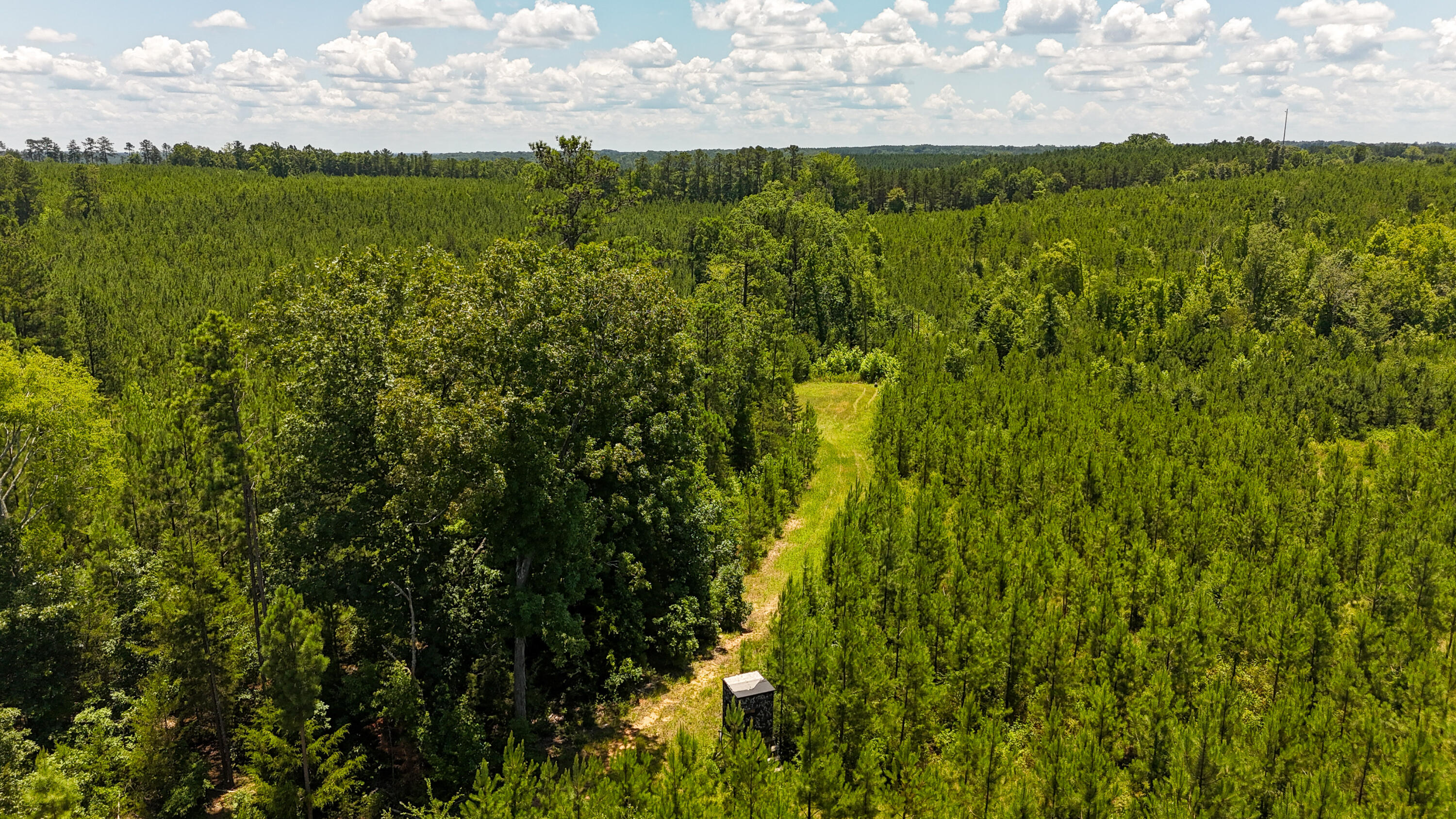 0 Ashford Ferry Road Chester, SC 29706 - Photo 8 of 15 Ashford Ferry Compass South Land Sales S
