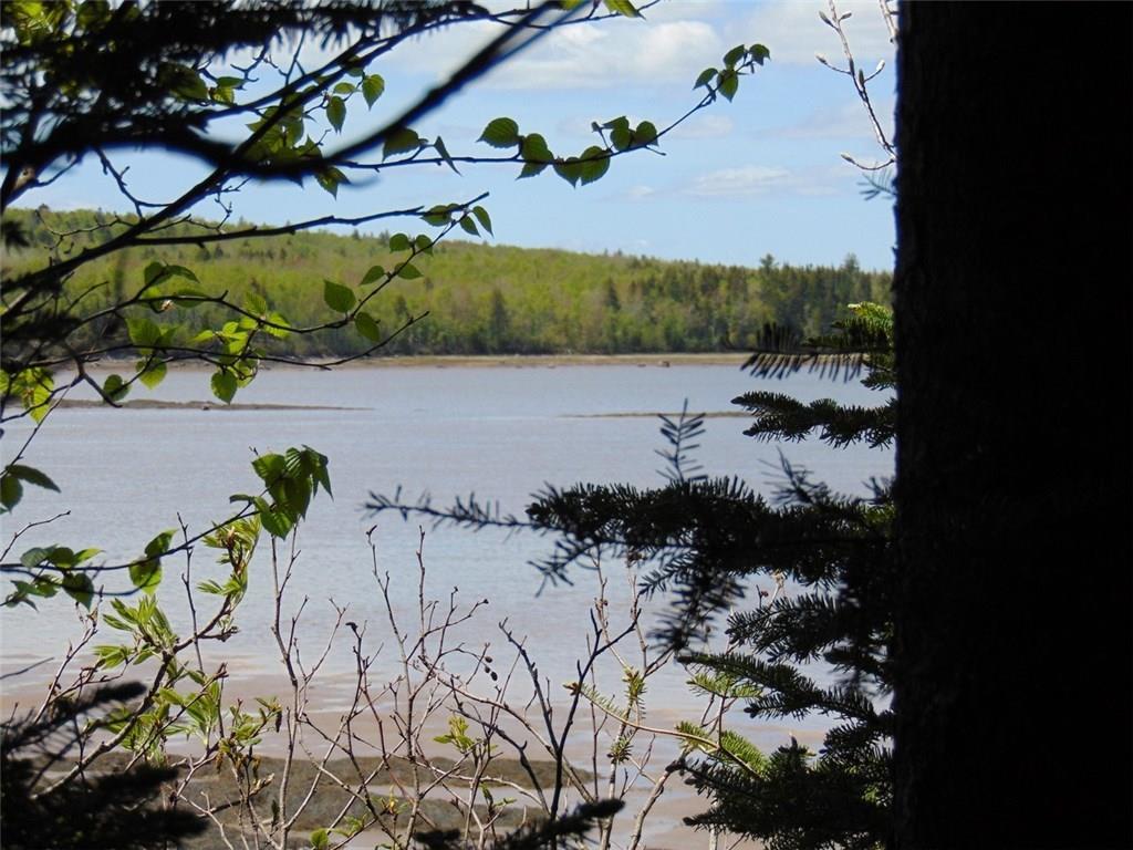 0 Ripley Point Road Harrington, ME 04643 - Photo 17 of 34 Photo