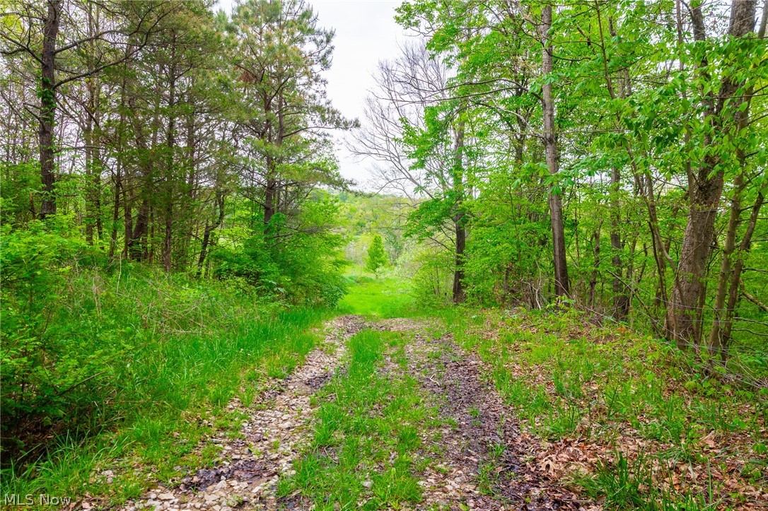 60936 Patch Road New Concord, OH 43762 - Photo 1 of 50