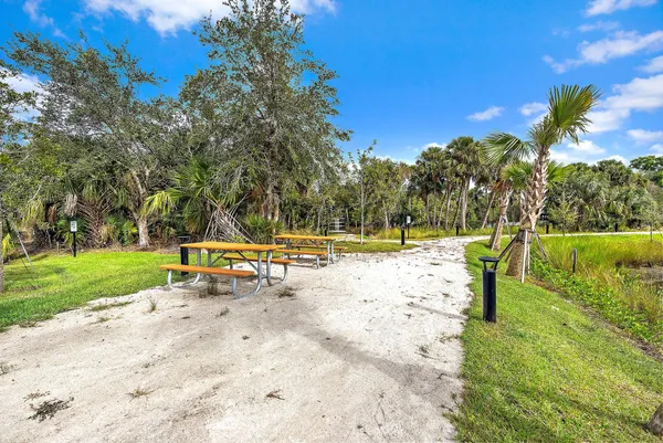 a view of a park with large trees